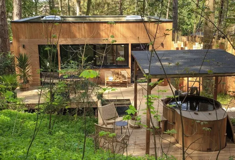 Bains De Forêt   Lodge Cosy & Spa