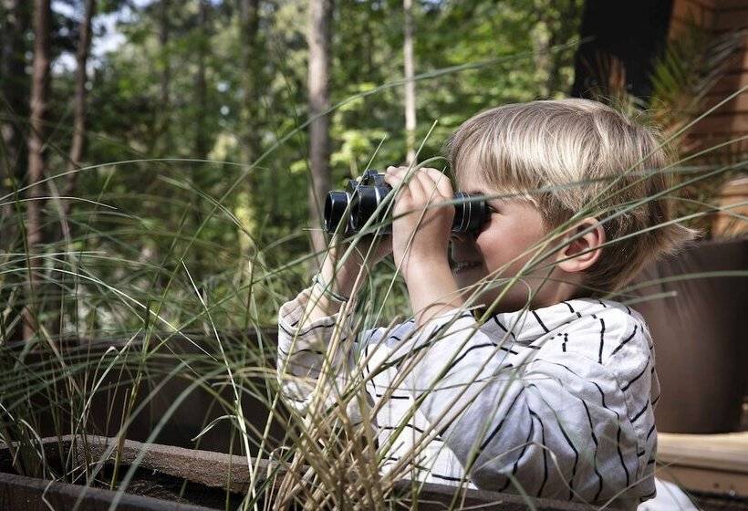 Bains De Forêt   Lodge Cosy & Spa