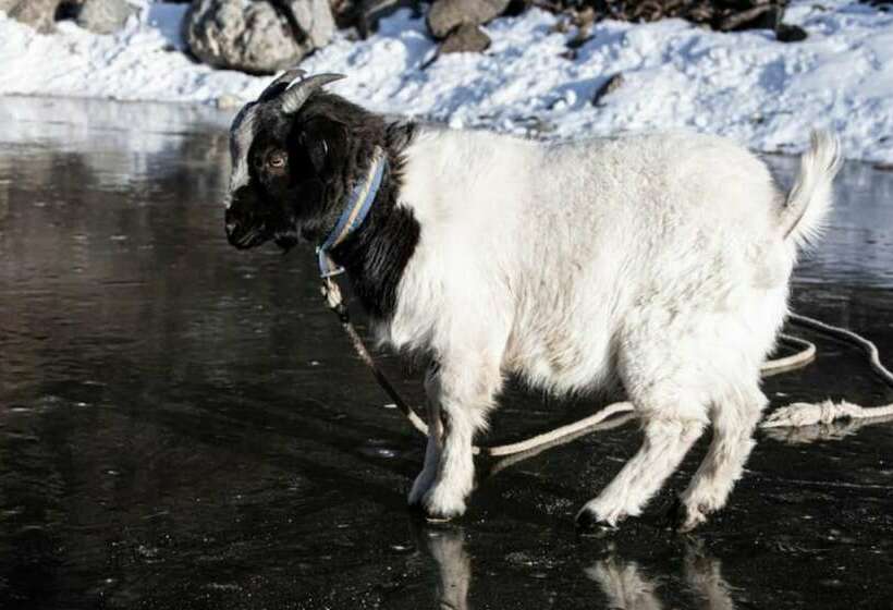 Gapyeong White House Valley Pension