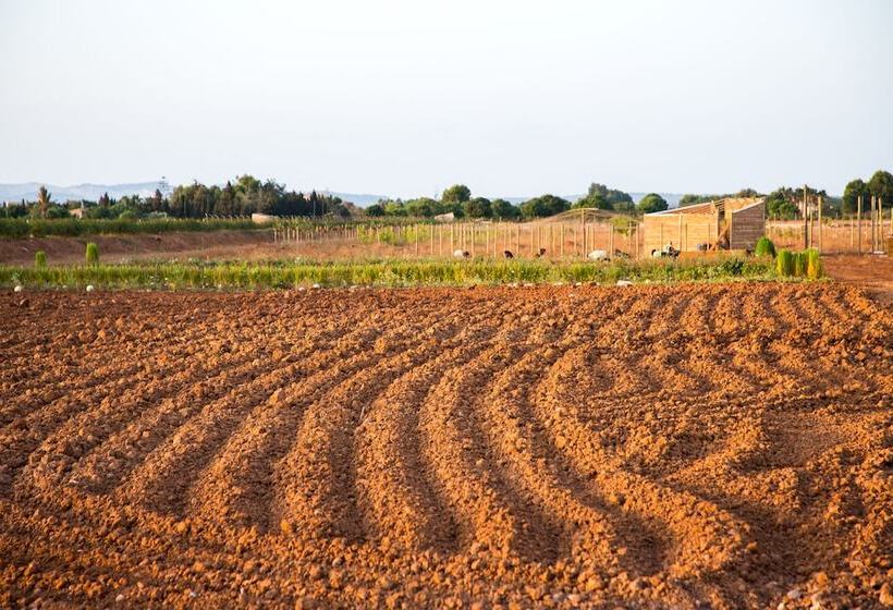 هتل روستایی Can Canto De Marina Agroturismo