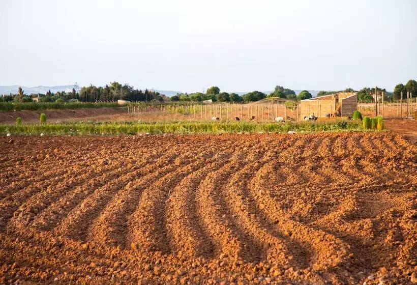 Maaseutuhotelli Can Canto De Marina Agroturismo