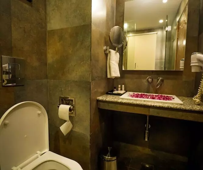 Hotelli Sanobar The Midtown  Mussoorie