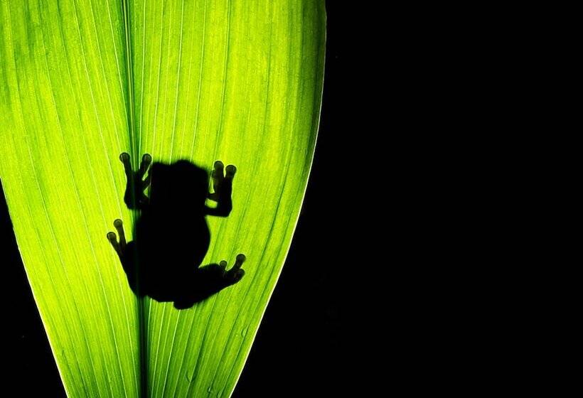 Hotel Yacuma Ecolodge