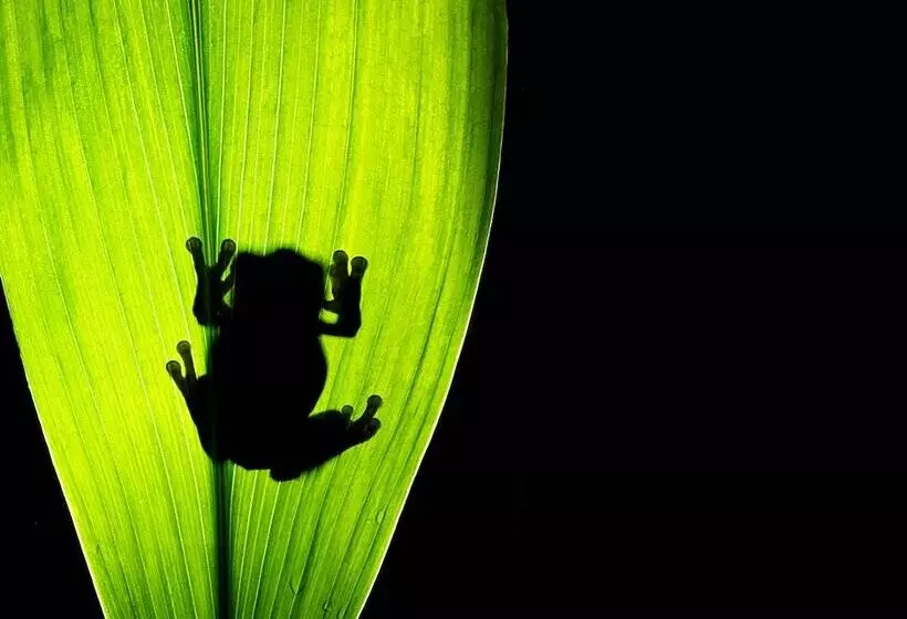 Hotelli Yacuma Ecolodge