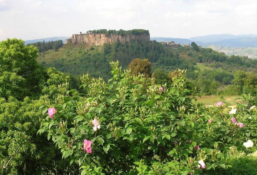 Tasteful Stone Cottage In Orvieto With Garden And Pool