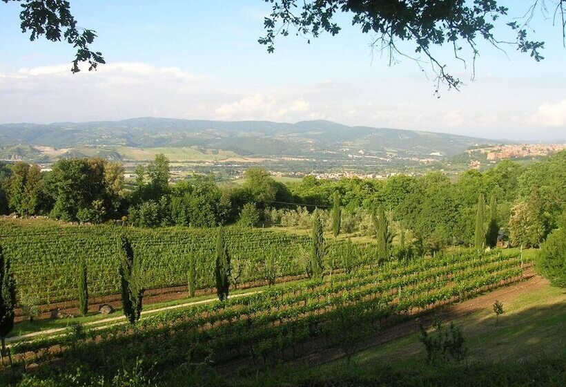 Tasteful Stone Cottage In Orvieto With Garden And Pool