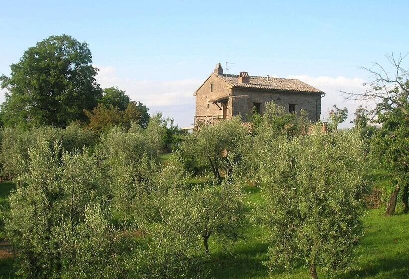 Tasteful Stone Cottage In Orvieto With Garden And Pool