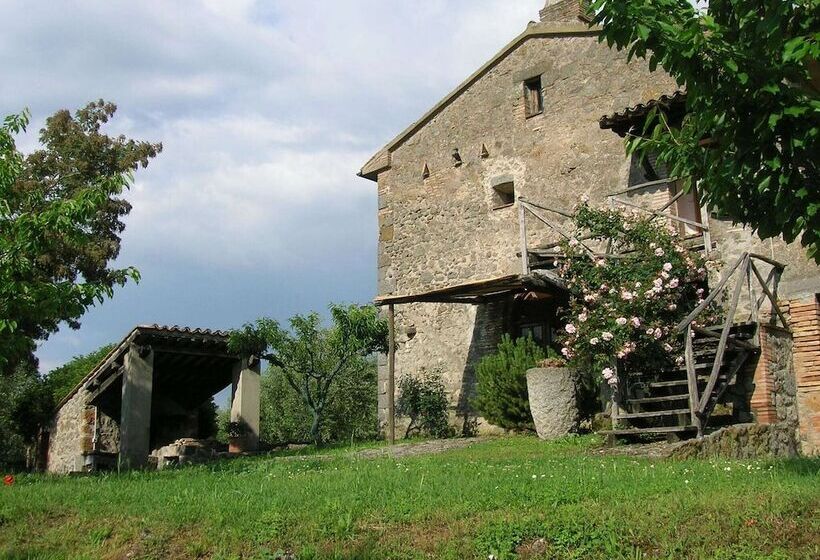 Tasteful Stone Cottage In Orvieto With Garden And Pool