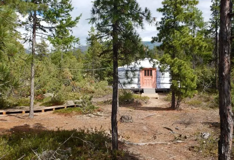 Baikal Hotel Petrovich