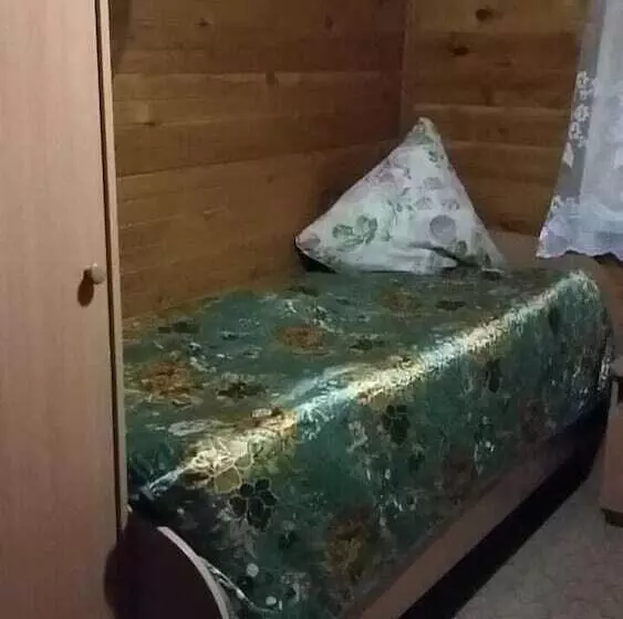 Baikal Hotel Petrovich