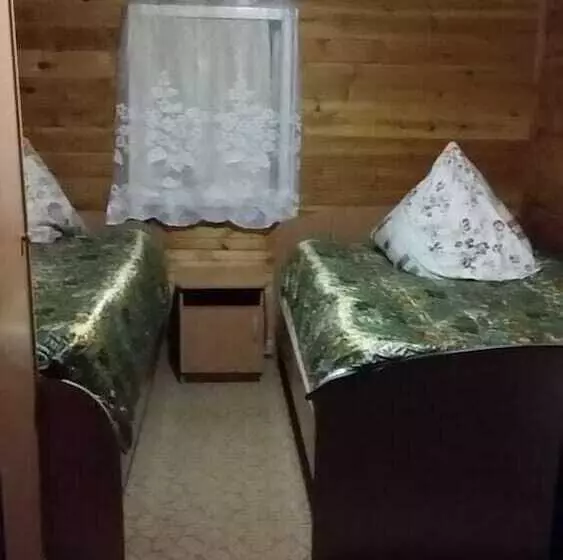 Baikal Hotel Petrovich