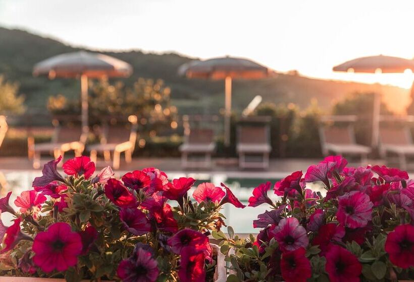 مبيت وإفطار Bb La Mortella With Pool