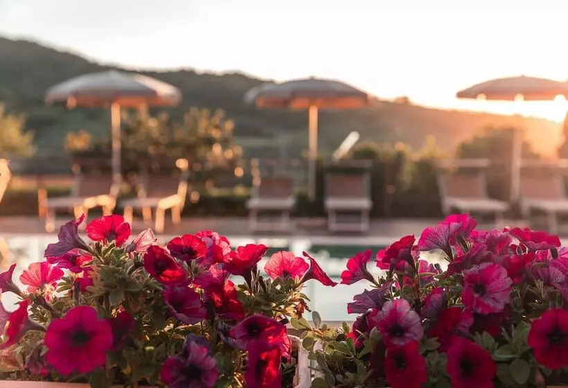 Aamiaismajoitus (B&B) Bb La Mortella With Pool