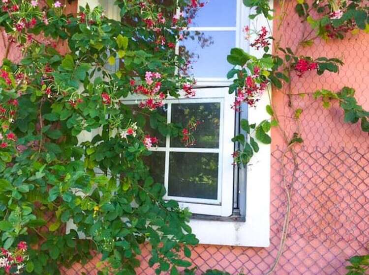 تختخواب و صبحانه Le Miel