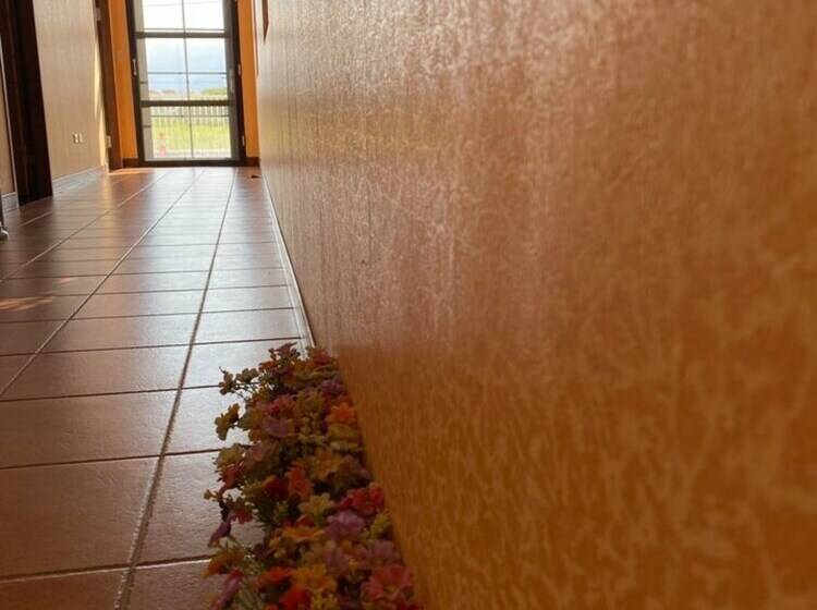 تختخواب و صبحانه Le Miel