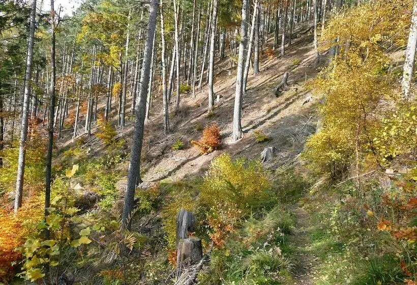 Natural Log Cabin In Waltershausen