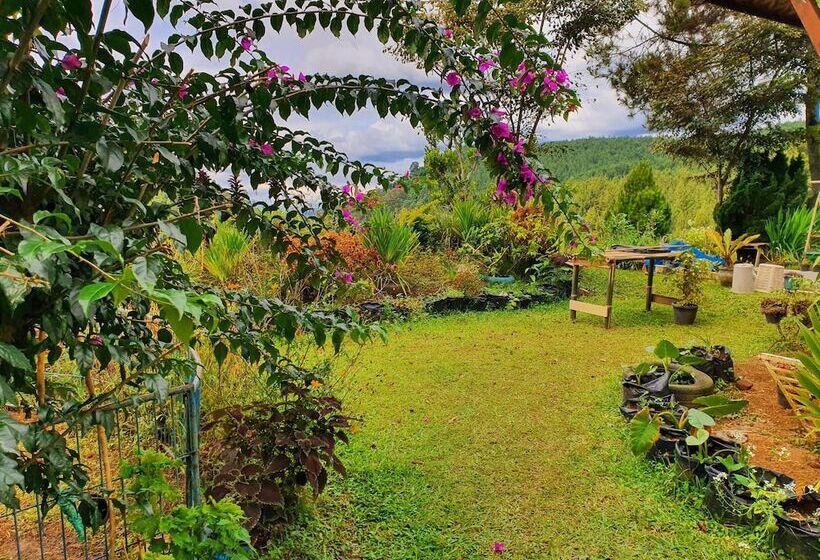 Glamping Ciwidey Argapuri