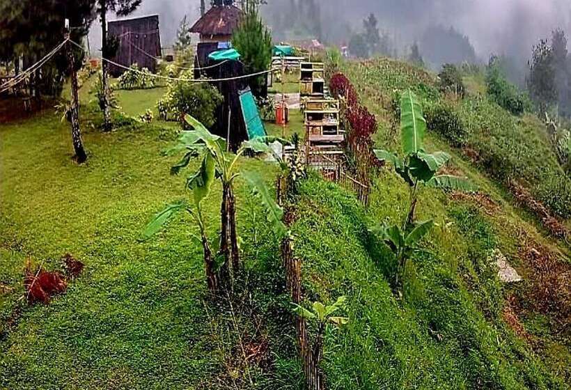 Glamping Ciwidey Argapuri