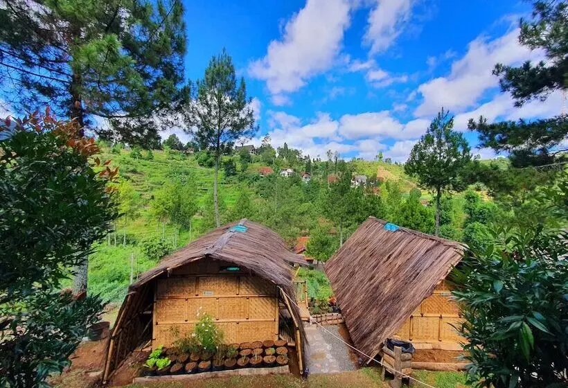 Glamping Ciwidey Argapuri