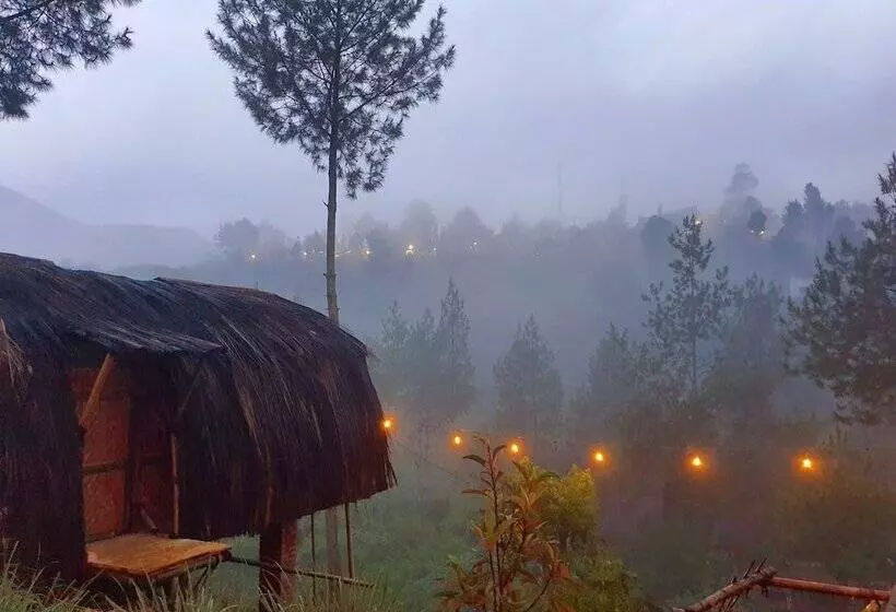 Glamping Ciwidey Argapuri