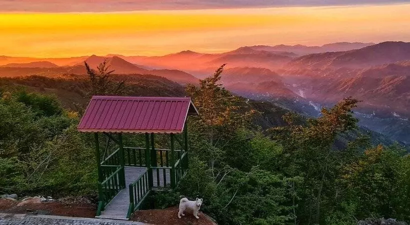 Hotelli Flora Handüzü Resort & Wellness Bungalow