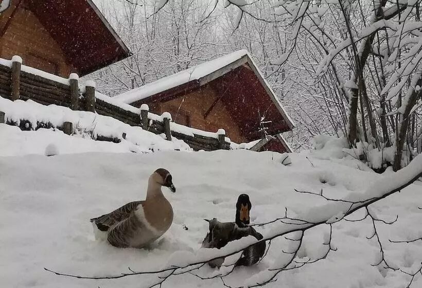 Hotelli Yesil Dus Vadisi Bungalow Restoran