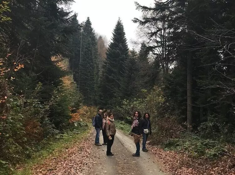 Hotelli Yesil Dus Vadisi Bungalow Restoran