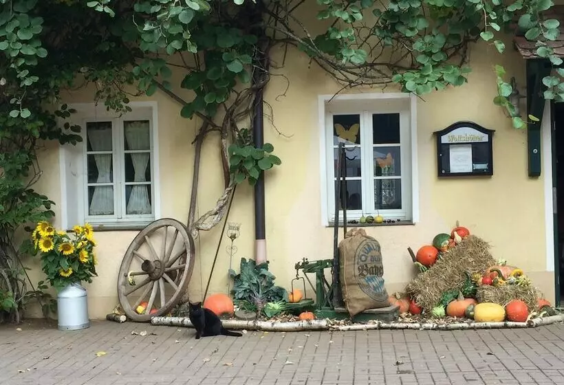 Landpension Schmererhof