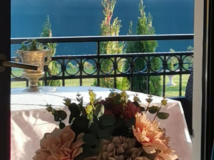 膳宿费 Gradinile Romane