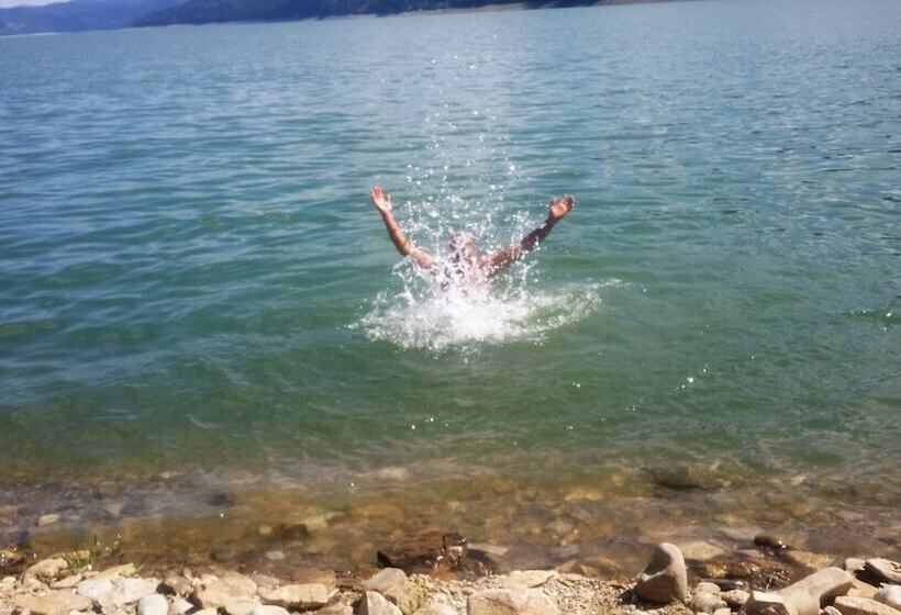 膳宿费 Gradinile Romane