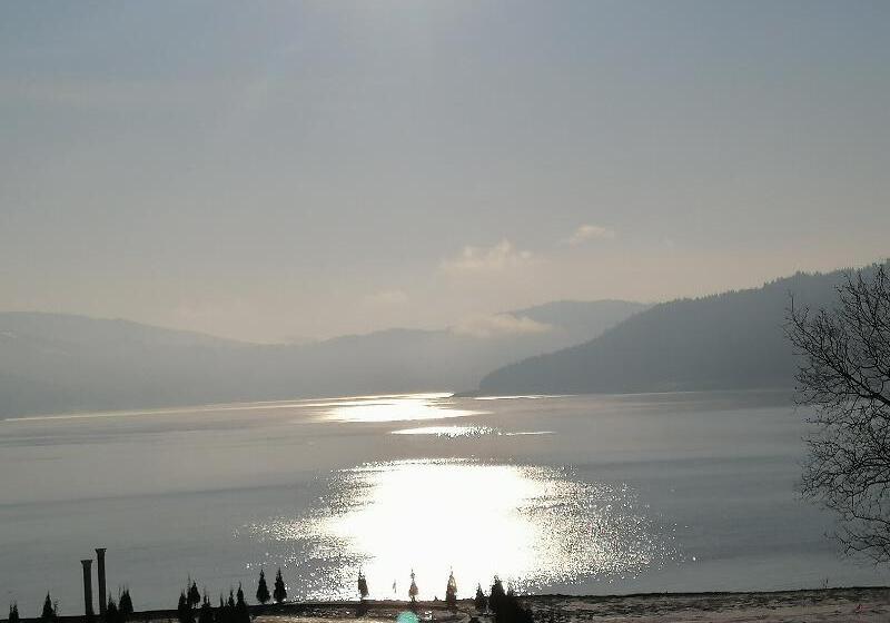 膳宿费 Gradinile Romane