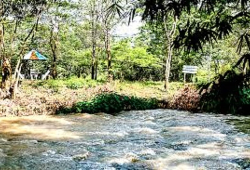 پانسیون Havila Resort