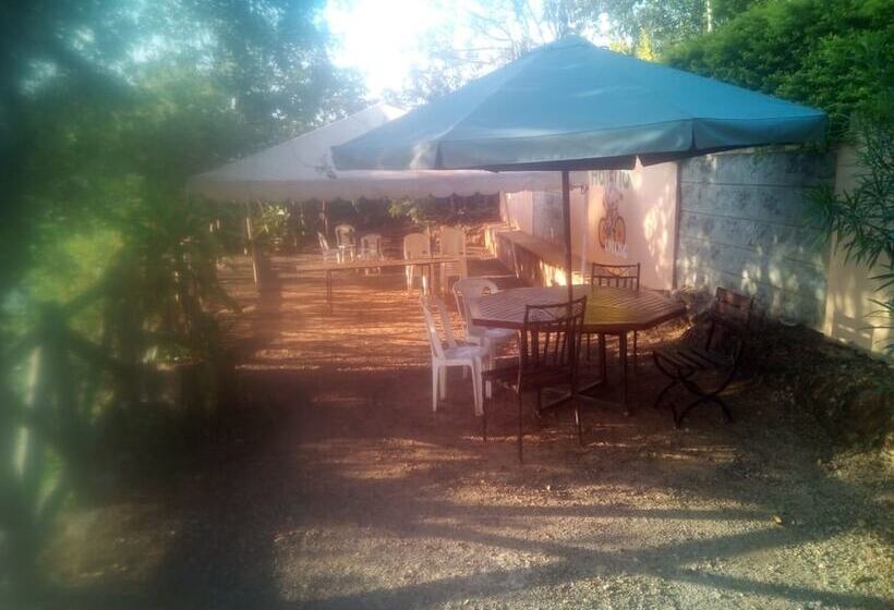 پانسیون Havila Resort