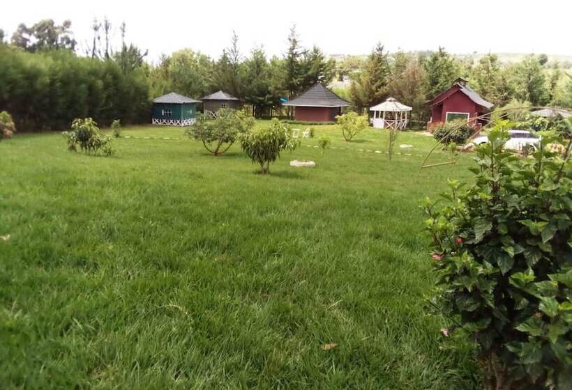 پانسیون Mseven Gardens M7