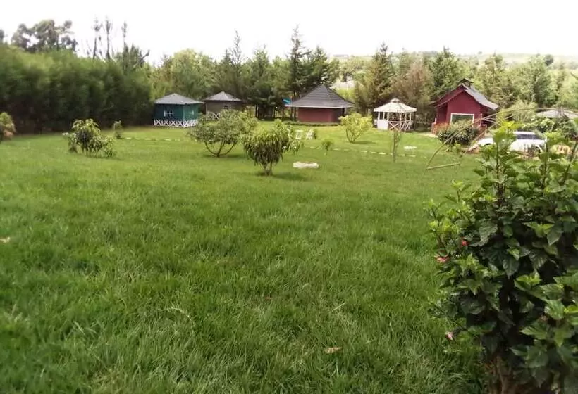 پانسیون Mseven Gardens M7