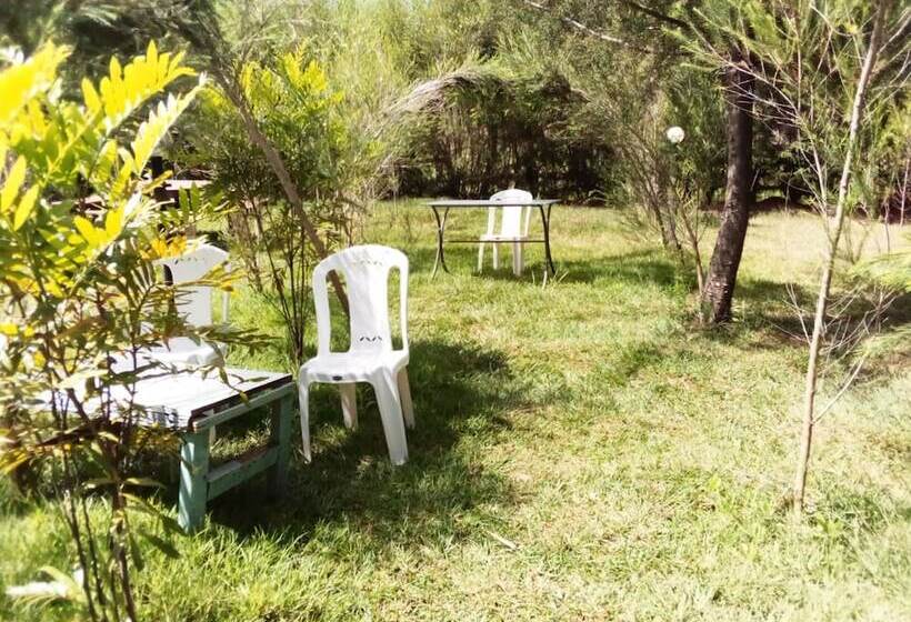 پانسیون Mseven Gardens M7