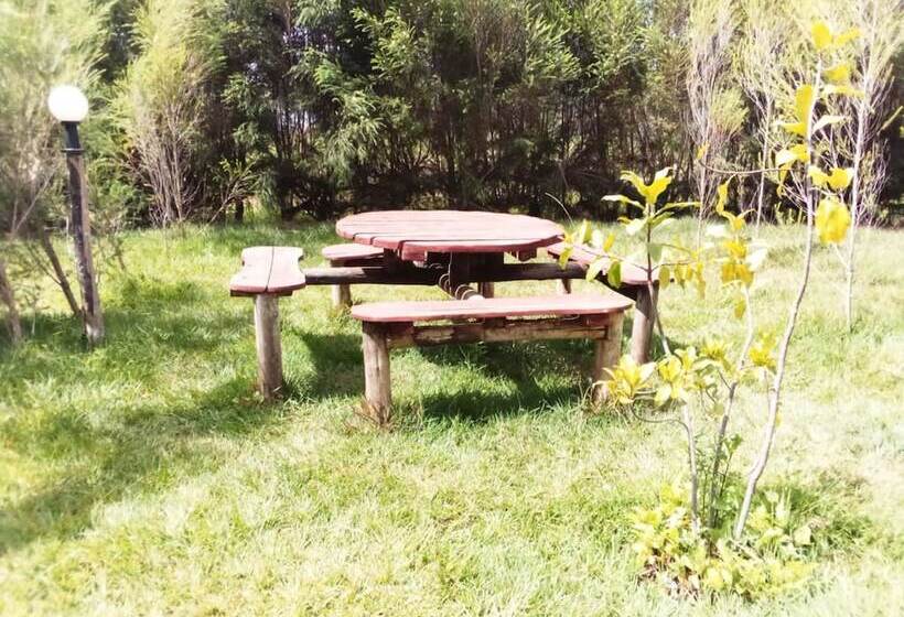 پانسیون Mseven Gardens M7