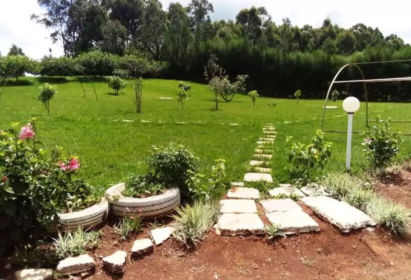 پانسیون Mseven Gardens M7