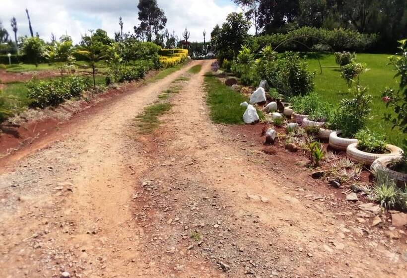 پانسیون Mseven Gardens M7