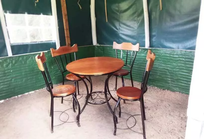 پانسیون Mseven Gardens M7