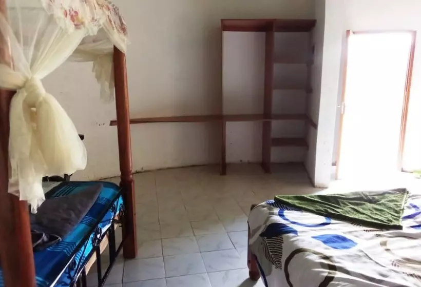 پانسیون Mseven Gardens M7