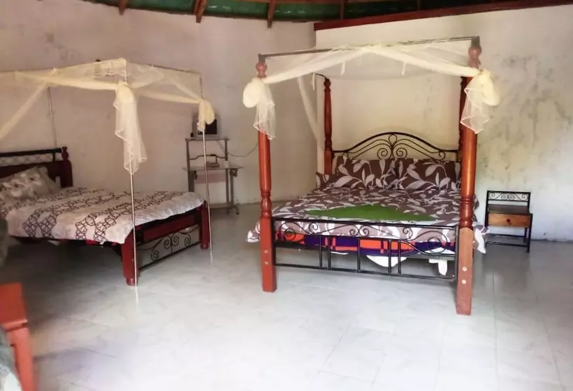 پانسیون Mseven Gardens M7