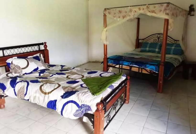 پانسیون Mseven Gardens M7