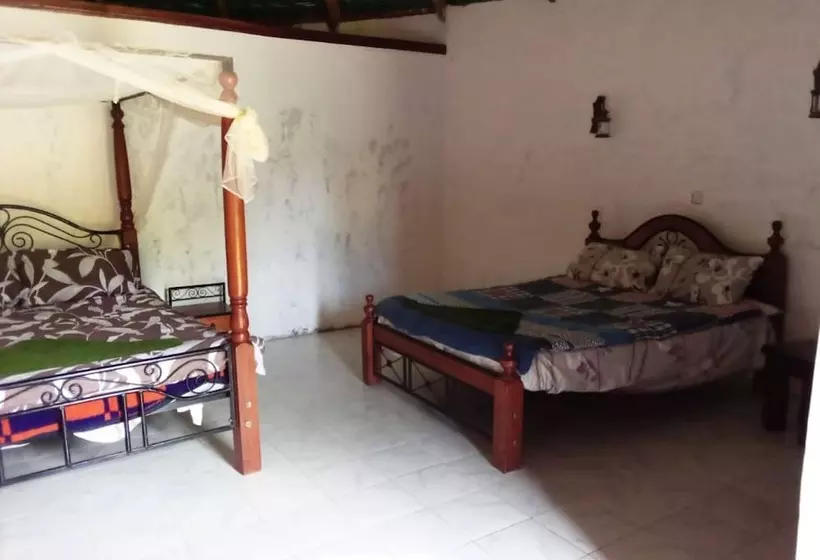 پانسیون Mseven Gardens M7