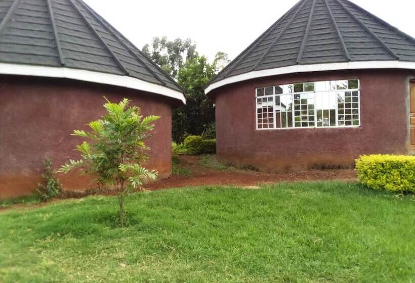 پانسیون Mseven Gardens M7