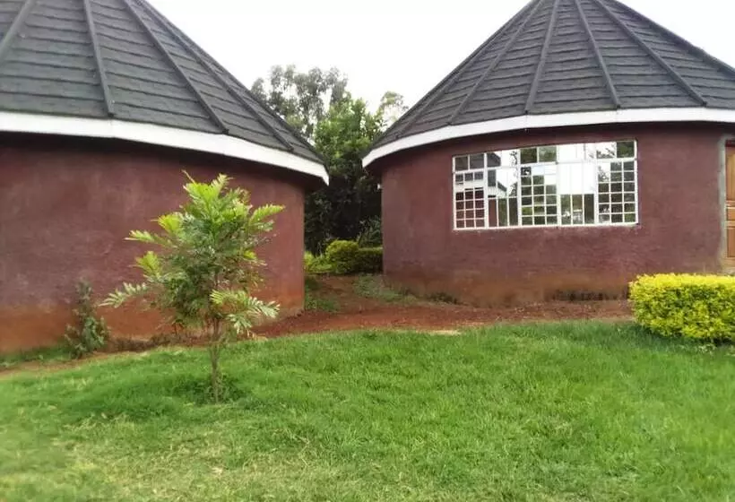 پانسیون Mseven Gardens M7