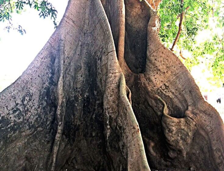 پانسیون Nino Ranch Lodge