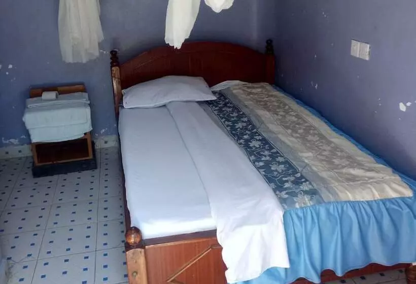 پانسیون Palace Royal Lodge   Adults Only