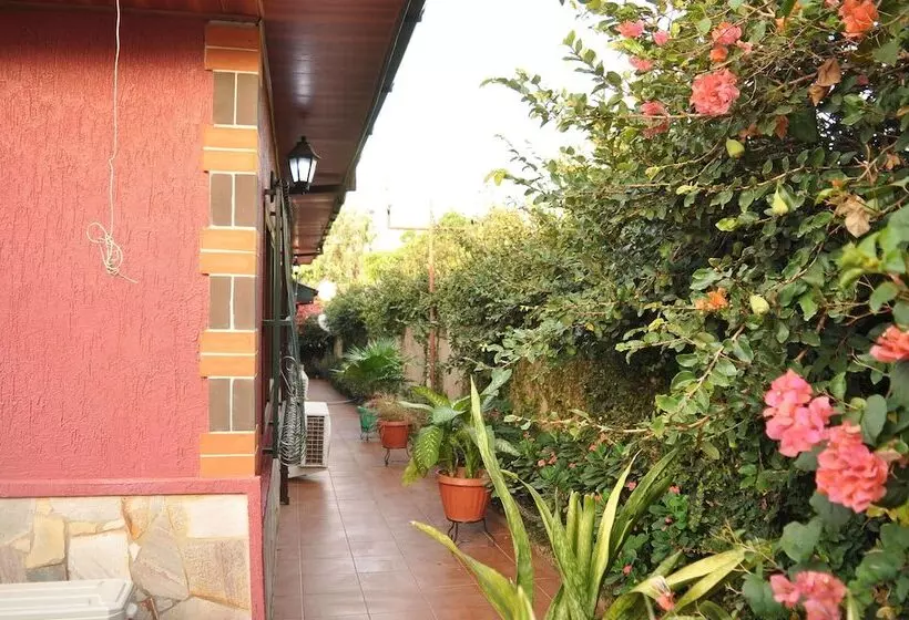 ペンション Santa Monica Home Lodge