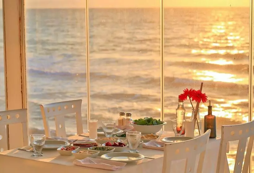 Aamiaismajoitus (B&B) Denize Sıfır